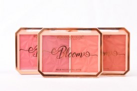 Paleta 2 rubores BLOOM 0624 (2).jpg